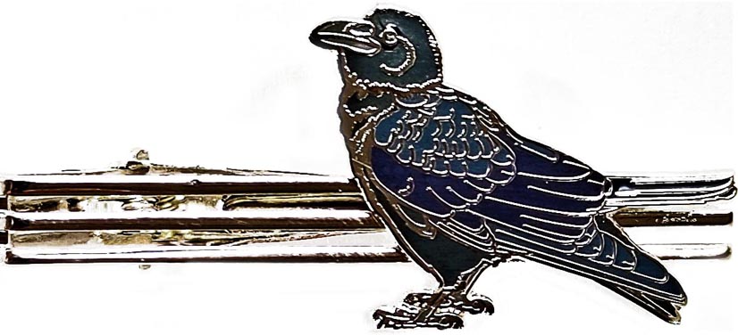 野鳥タイバー-ハシブトカラス